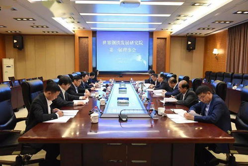 中国钢铁迈向世界舞台 世界钢铁发展研究院在北京成立，干勇任理事长、于勇任院长